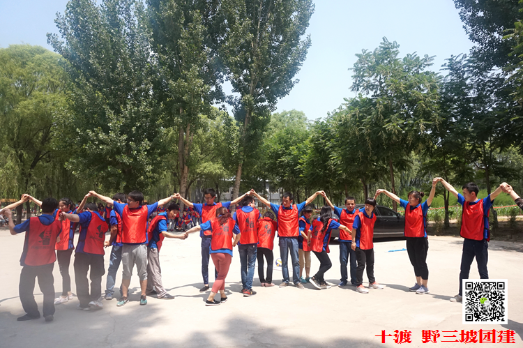 拓展訓(xùn)練 拓展訓(xùn)練